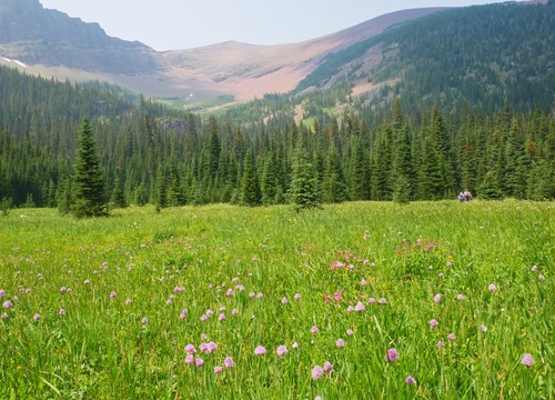 Heading out through Rowe Meadows below Lineham Ridge
