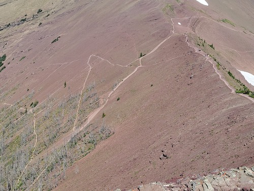 Find all the Ramblers on Carthew trail