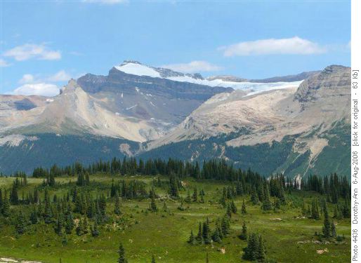 Waputik Icefield from Iceline trail