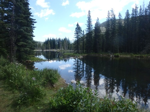 Beaverponds