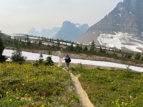Lovely, expansive Rockwall Pass, with both spring and summer flowers blooming 