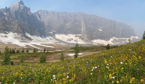 The Rockwall