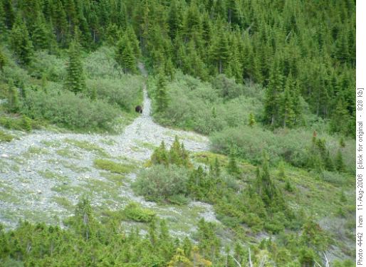 Three Isle trail