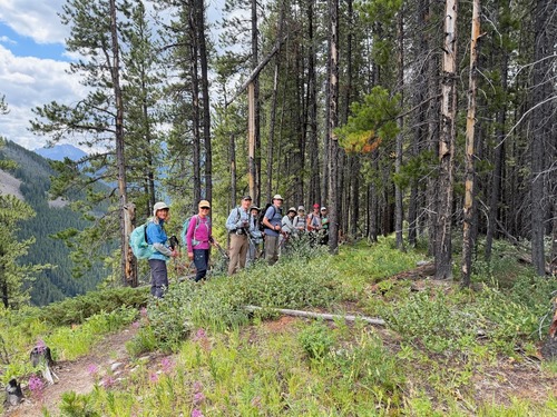 Leaving the meadows and into the forest