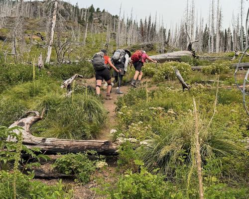 First part of the trail to Bertha Peak