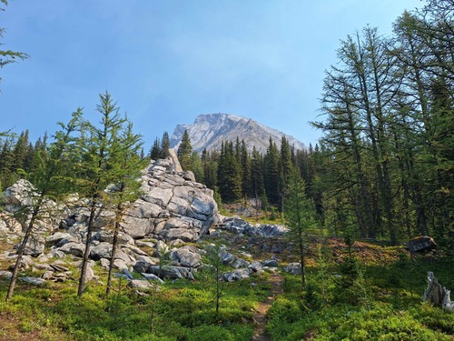 These giant limestone blocks are known as the 