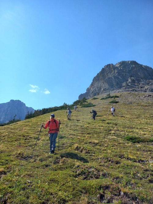 On the way down 