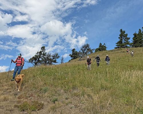 Descending the west ridge of Junction Hill