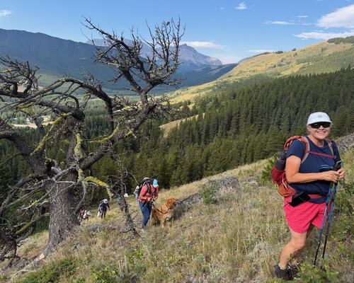 Almost up to the east ridge of Junction Hill (Armstrong and Bolton in the bkg)