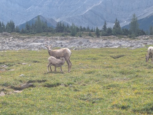 We were not the only ones enjoying a snack break!