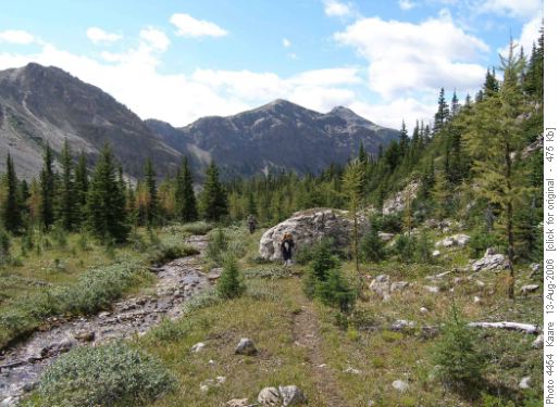 Alpine meadow near Ball Pass Alpine meadow near Ball Pass
