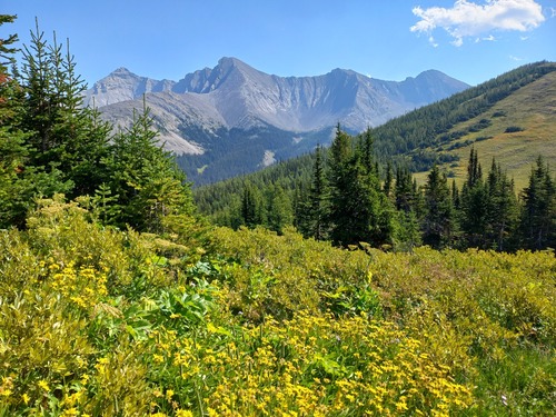 Clear views to the east 
