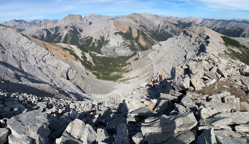 Two colourful Ramblers surrounded by rock