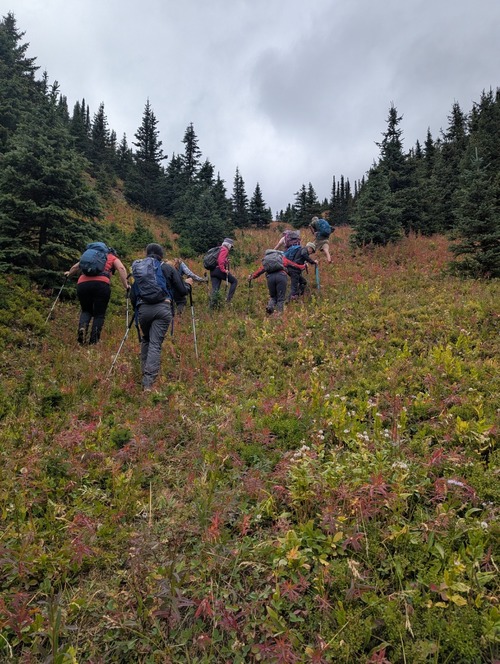 On the steep ascent gully