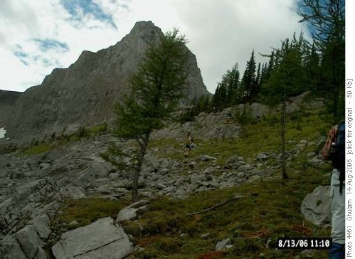 Commonwealth Hike going up col