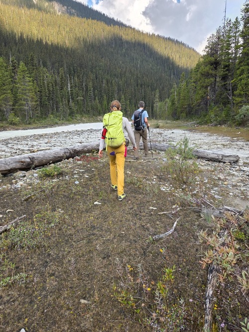 Walking along the east side of the Yoho River.