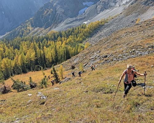 Finally out of the bushwhack and climbing to the ridge