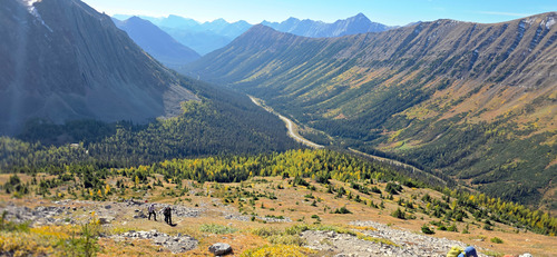 View looking south