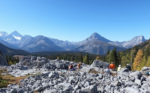 Lunch at treeline, after a short off-trail ascent through forest above the elephant rocks. 