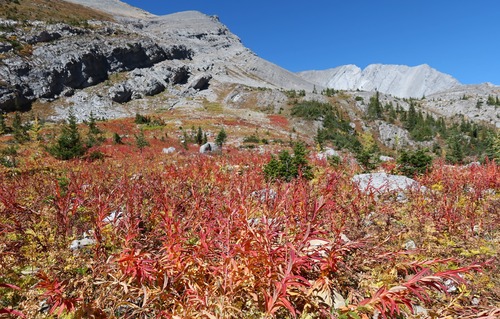 Plenty of colour, even with the larch not at their peak.