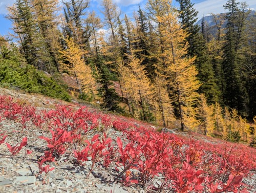 Colourful slope