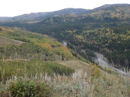 Looking down the Sheep River