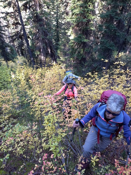 A short and steep climb to gain the col