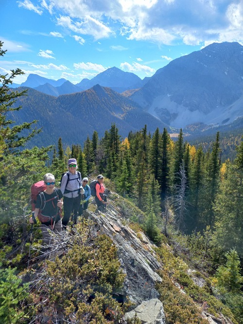 Views south from the high point of the ridge