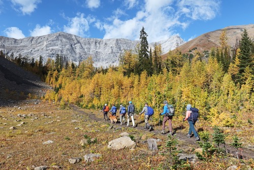 The new designated trail follows the old route in some places.