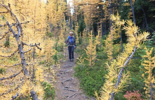 Into the larch glades after bumps 2 and 3. 