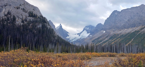 The Robertson Glacier.