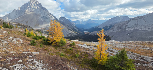 Looking east down the valley with Mount Birdwood on the left.
