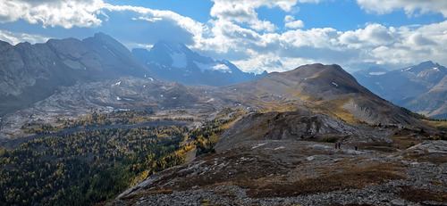 Fall colours.