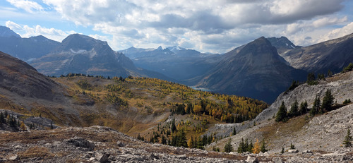 Looking west from Burstall Pass to Leman Lake