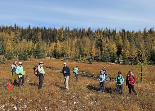 Heading up Panorama Meadows