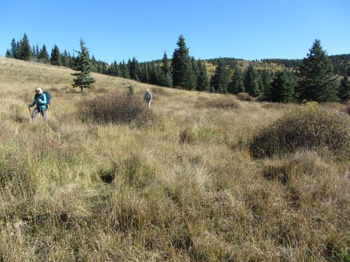 Barb and Philip in the meadow after the creek crossing
