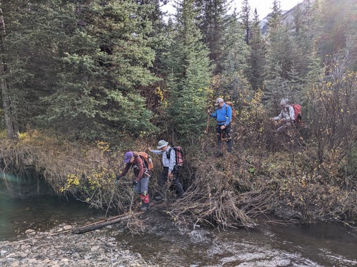 Pocaterra Ridge traverse