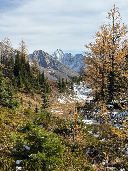 Pocaterra Ridge traverse