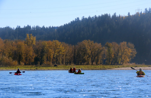 Fall colours along the Bow,