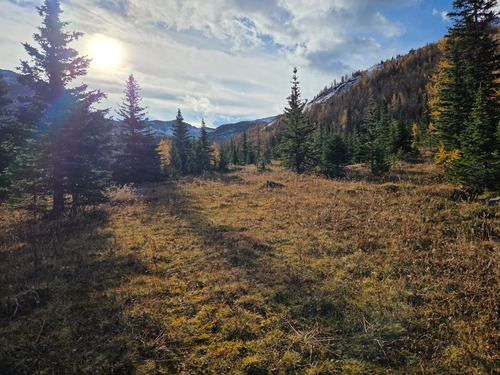 Wolverine Valley