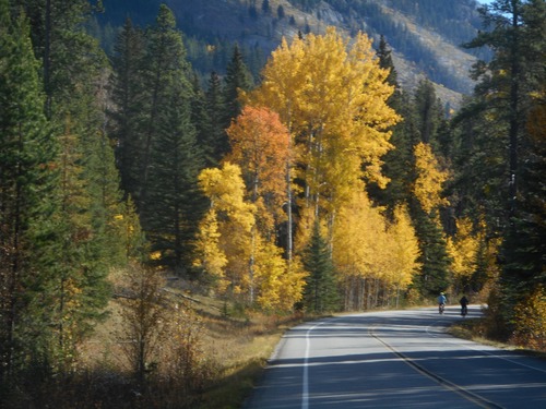 Fall colors