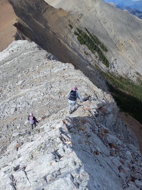 Descending the ridge from Belmore Browne
