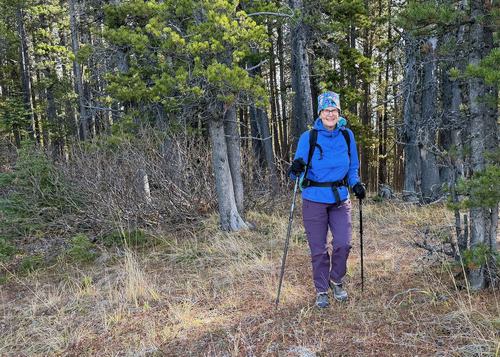 Out of the woods at the top of Missinglink Mtn