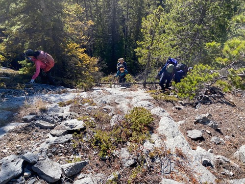 Off-trail through the open forest; no bushwhacking required 