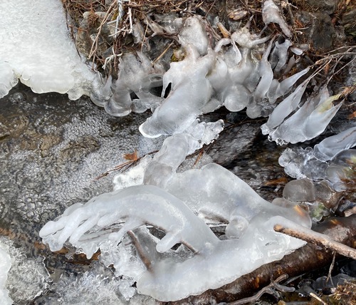 Ice sculptures 