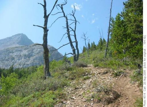 TL4 route up to Lake of the Horns headwall