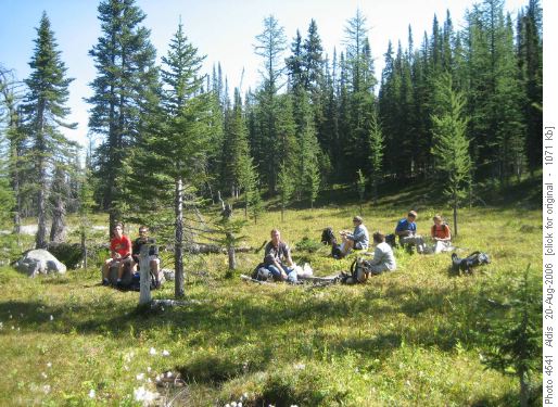 O'Brien Lake meadow