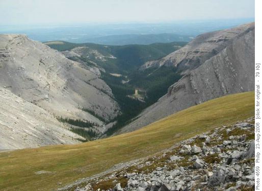 East down Canyon Creek