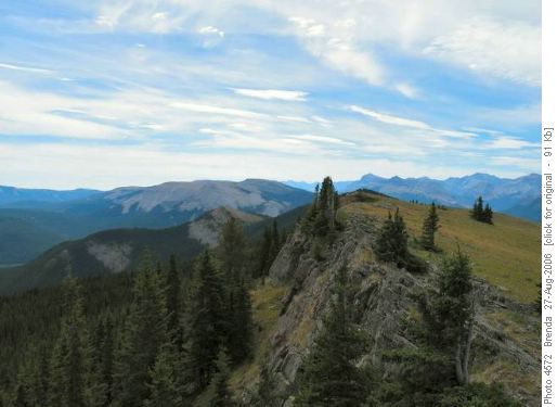 View to South