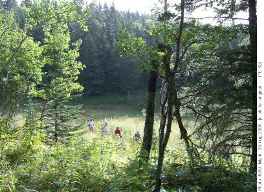 Jumpingpound loop trail